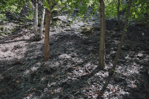 The sights along the Gorge Trail in Taughannock Falls State Park near Ithaca, NY.