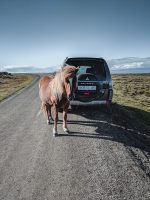 Kuku Campers in Iceland; by Trip Over Life