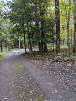 Camping at Steam Mill campground in Stokes State Forest, New Jersey.