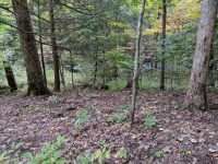 Camping at Steam Mill campground in Stokes State Forest, New Jersey.