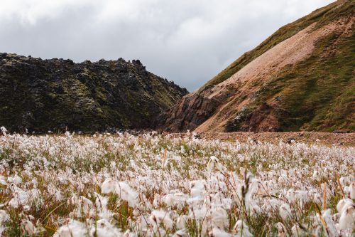 Landmannalaugar