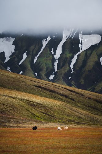 Departing Landmannalaugar