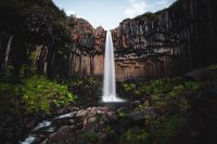 Svartifoss