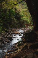 ʻĪAO VALLEY State Park and Monument