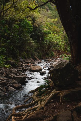 ʻĪAO VALLEY State Park and Monument