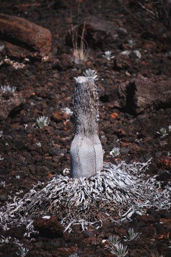 Keonehe‘ehe‘e (Sliding Sands) hike, Haleakalā National Park, Maui