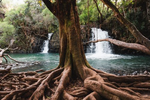 Twin Falls, Road to Hana, Maui