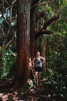 Waikamoi Nature Trail, Road to Hana, Maui