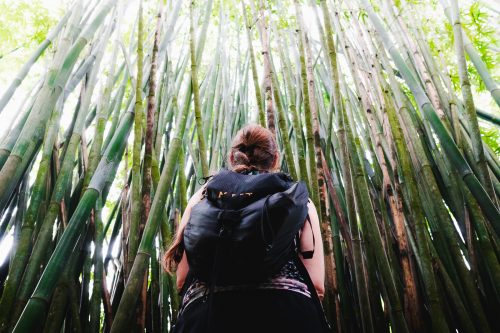 Garden of Eden, Road to Hana, Maui