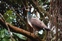 Garden of Eden, Road to Hana, Maui