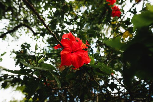 Garden of Eden, Road to Hana, Maui