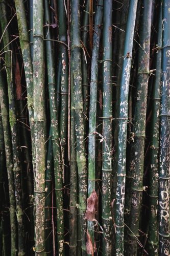 Garden of Eden, Road to Hana, Maui