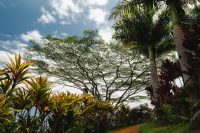 Garden of Eden, Road to Hana, Maui