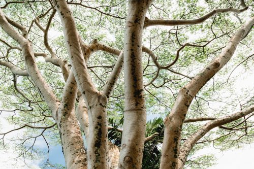 Garden of Eden, Road to Hana, Maui