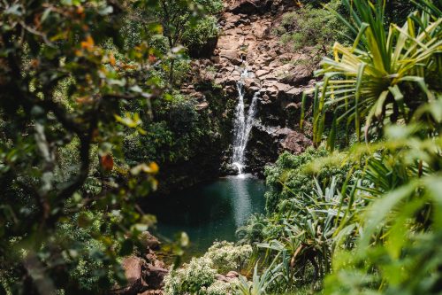 Garden of Eden, Road to Hana, Maui