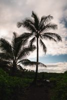 Wai’anapanapa State Park, Maui