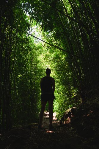 Pīpīwai Trail, Haleakalā National Park, Maui