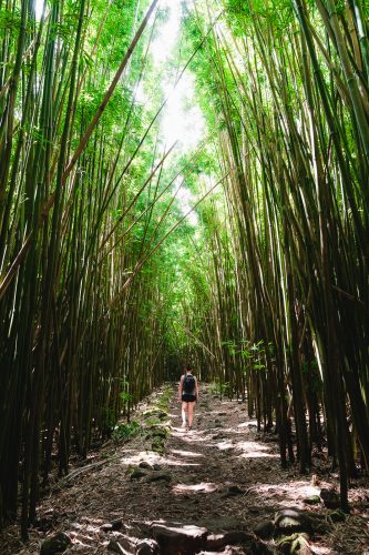 Pīpīwai Trail, Haleakalā National Park, Maui