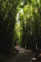 Pīpīwai Trail, Haleakalā National Park, Maui