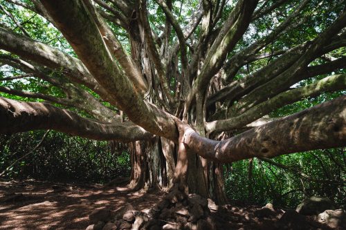 Pīpīwai Trail, Haleakalā National Park, Maui