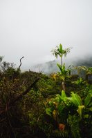 Waihe’e Ridge Trail, Maui