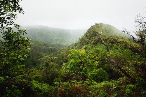 Waihe’e Ridge Trail, Maui