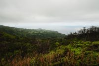 Waihe’e Ridge Trail, Maui