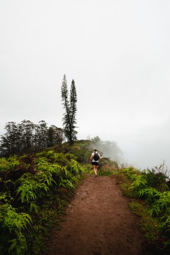 Waihe’e Ridge Trail, Maui