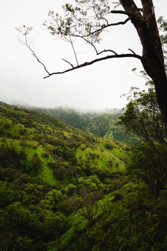 Waihe’e Ridge Trail, Maui