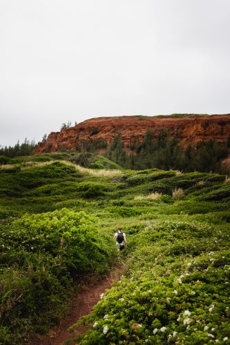 Ohai Trail, Maui