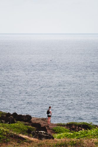 Whale tail! Above my head, Ohai Trail, Maui