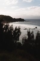 Maui coastline