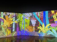 Gallery of Modern Art, Brisbane