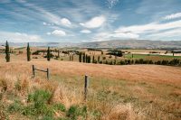 Mackenzie Basin landscape