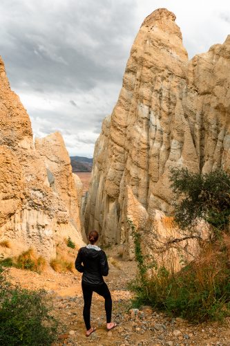 Clay Cliffs, Omarama