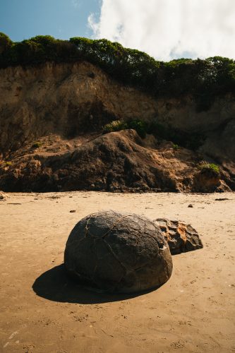 Moeraki Boulders Beach