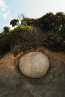 Moeraki Boulders Beach