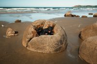 Moeraki Boulders Beach