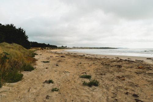 All Day Bay Free Campground, Herbert