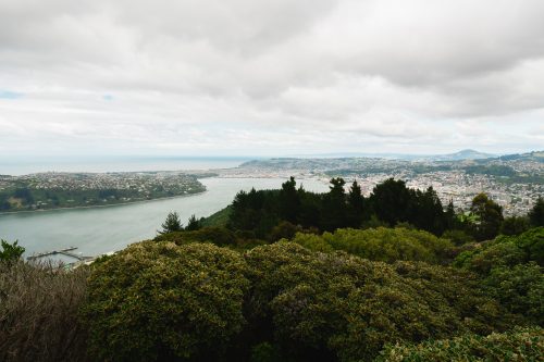 Signal Hill Lookout, Dunedin