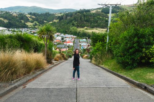 Baldwin Street, Dunedin