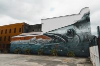 Dunedin street art