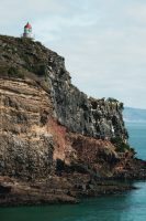 Views from The Royal Albatross Centre