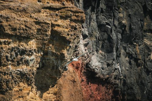 The Royal Albatross Centre