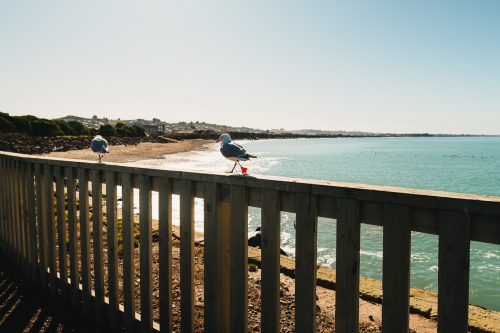 Oamaru Harbour