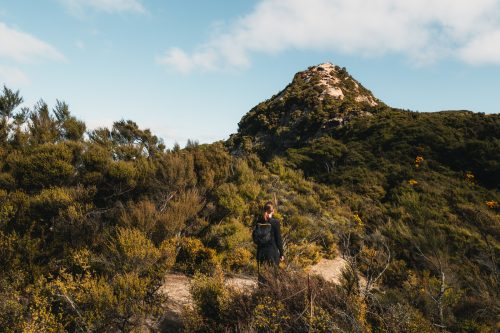 Trotters Gorge Scenic Reserve