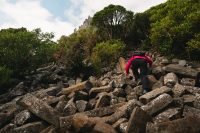 Organ Pipes Track, Mount Cargill Scenic Reserve