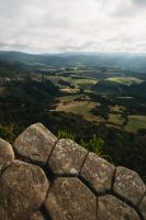 Organ Pipes Track, Mount Cargill Scenic Reserve