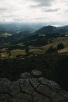 Organ Pipes Track, Mount Cargill Scenic Reserve