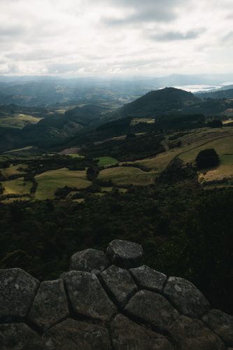 Organ Pipes Track, Mount Cargill Scenic Reserve